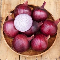 Onion